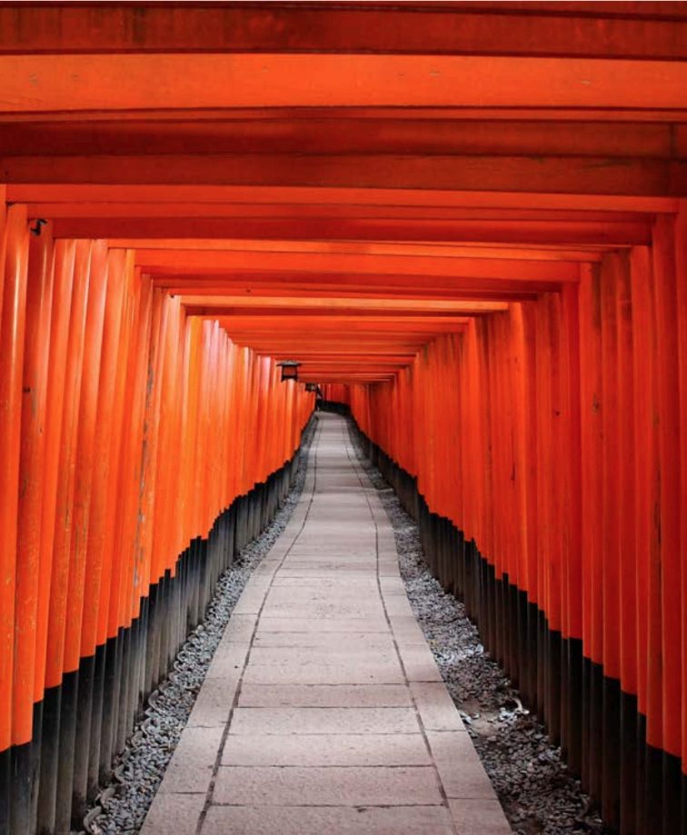 A tunnel of vermilion torii gates