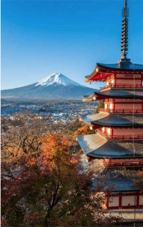 Mt. Fuji
