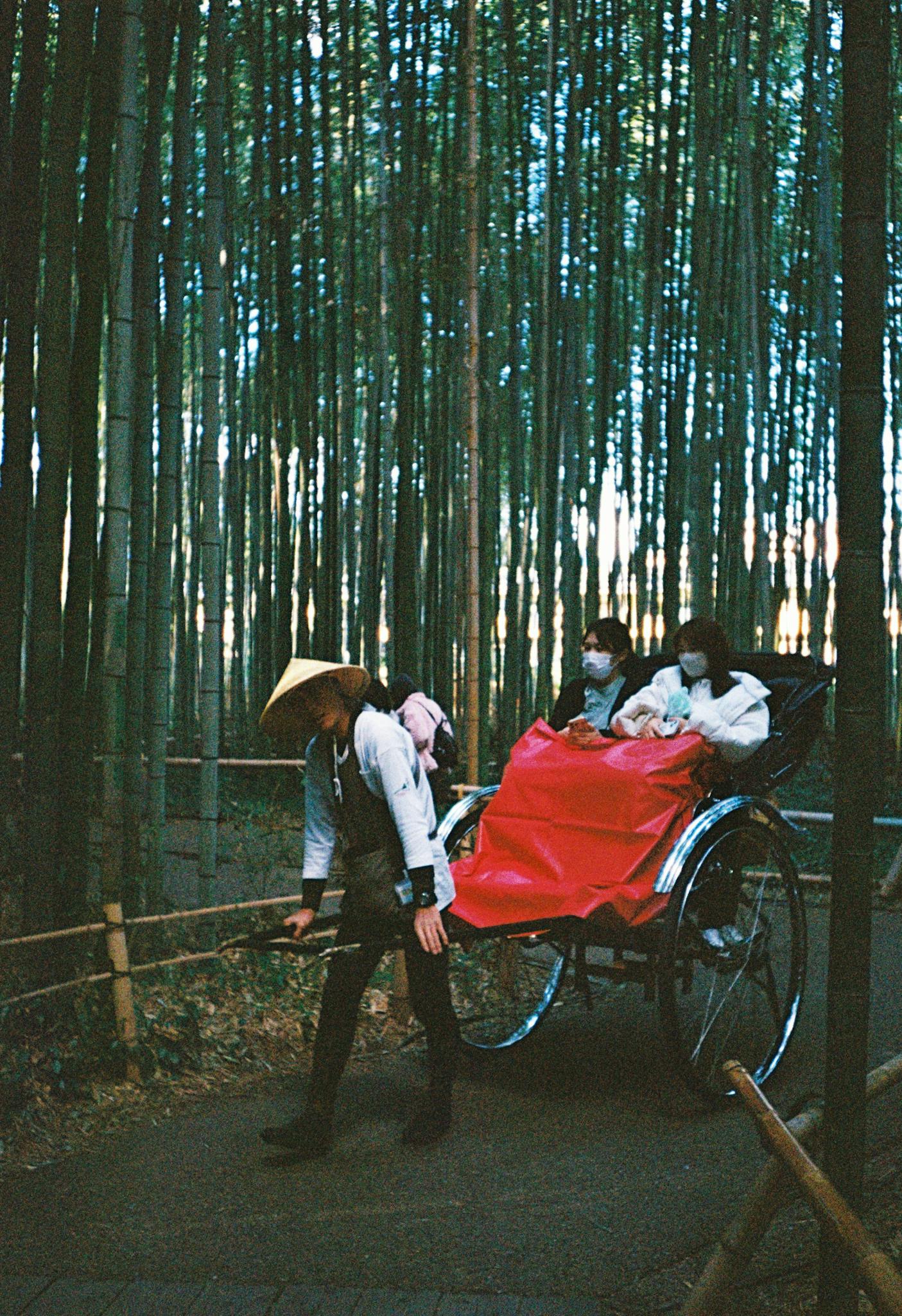 Explore the serene beauty of Kyoto's bamboo forest with a traditional rickshaw ride for an authentic experience.