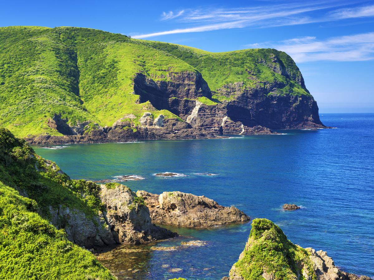 Horses grazing on the clifftop meadows of the Kuniga Coast, Oki Islands
